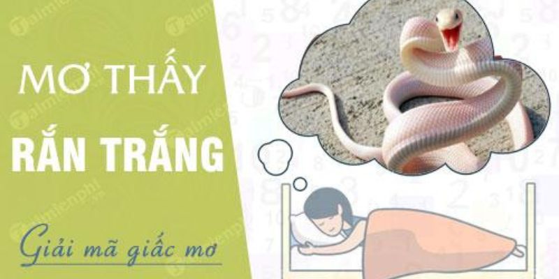 Giải mã giấc mơ thấy rắn trắng